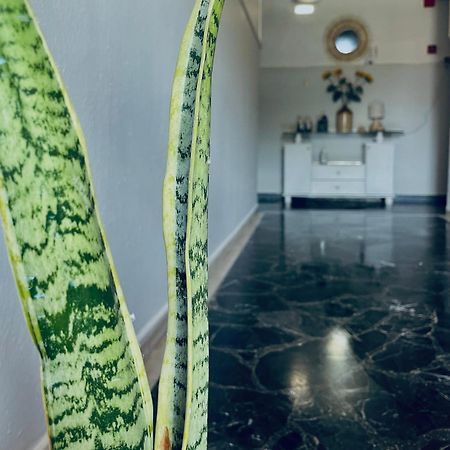 Aktaion Hotel Skala Alykis Extérieur photo