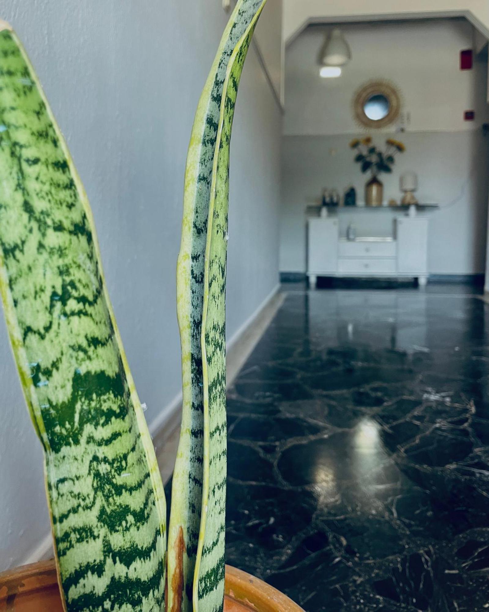 Aktaion Hotel Skala Alykis Extérieur photo